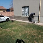 Masakusile Roof Leak Repairs Gallery photo